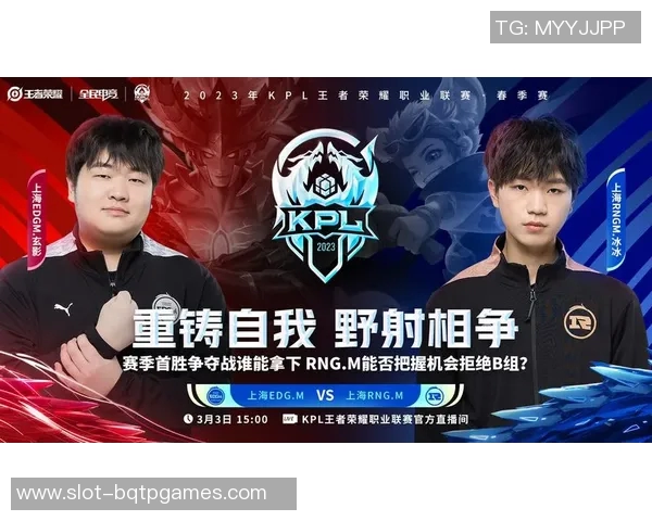 王者荣耀RNG心理素质变革引发热议背后的深层原因与影响分析实时数据